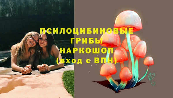 метадон Няндома