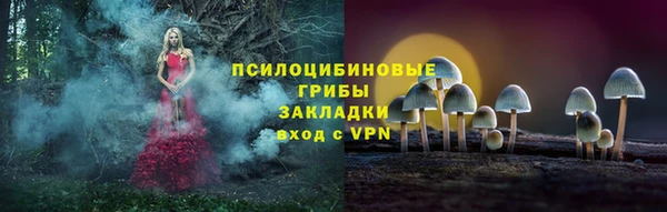 мет Нязепетровск