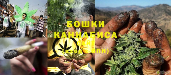 метадон Няндома