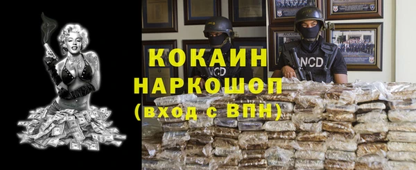 метадон Няндома