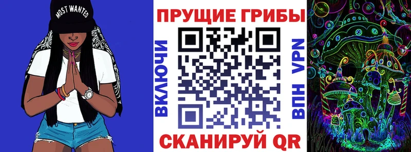 купить наркотик  Чекалин  Галлюциногенные грибы ЛСД 