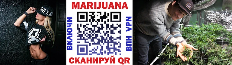 где можно купить   Чекалин  Шишки марихуана план 